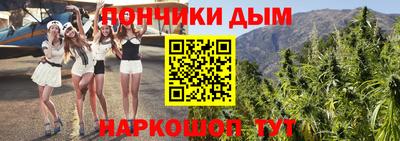 стаф Донской