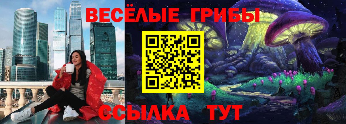 Псилоцибиновые грибы MAGIC MUSHROOMS  Псилоцибиновые грибы MAGIC MUSHROOMS  Жуковский  Вход с VPN 