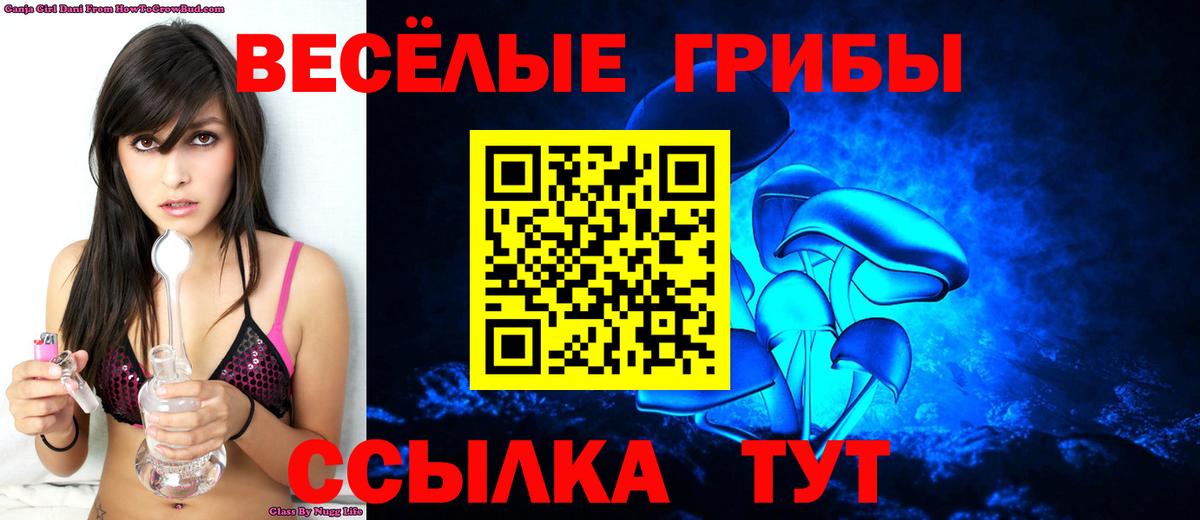 Псилоцибиновые грибы MAGIC MUSHROOMS Жуковский